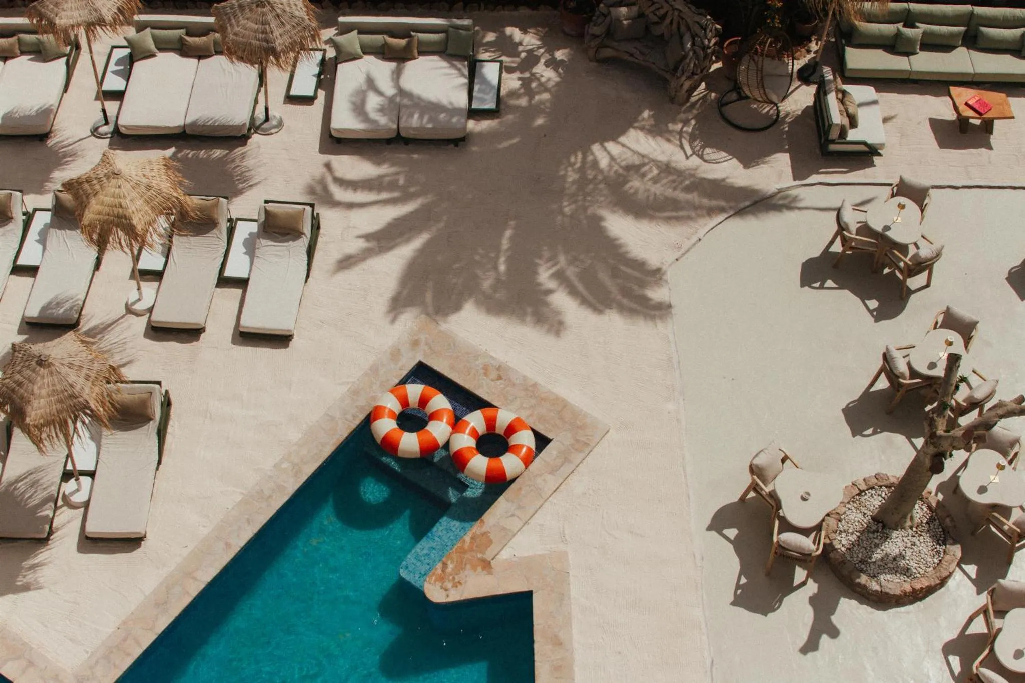 Transats et parasols disposés autour d'une piscine rectangulaire.