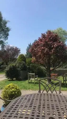 Mobilier de jardin sur une pelouse verdoyante sous un ciel bleu.