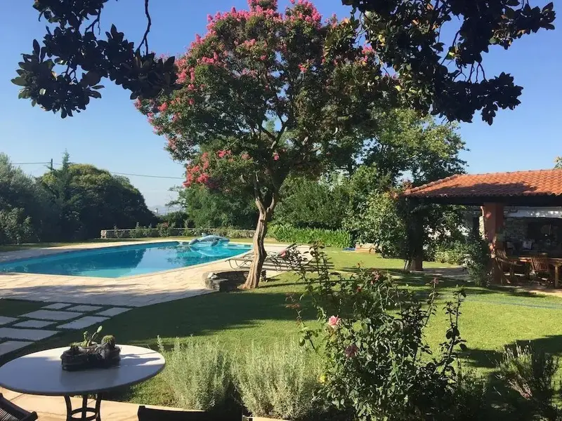 Une piscine bordée d'une pelouse verdoyante et d'une structure couverte.