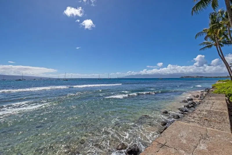 Vue sur une mer turquoise et une côte rocheuse bordée de palmiers sous un ciel bleu.