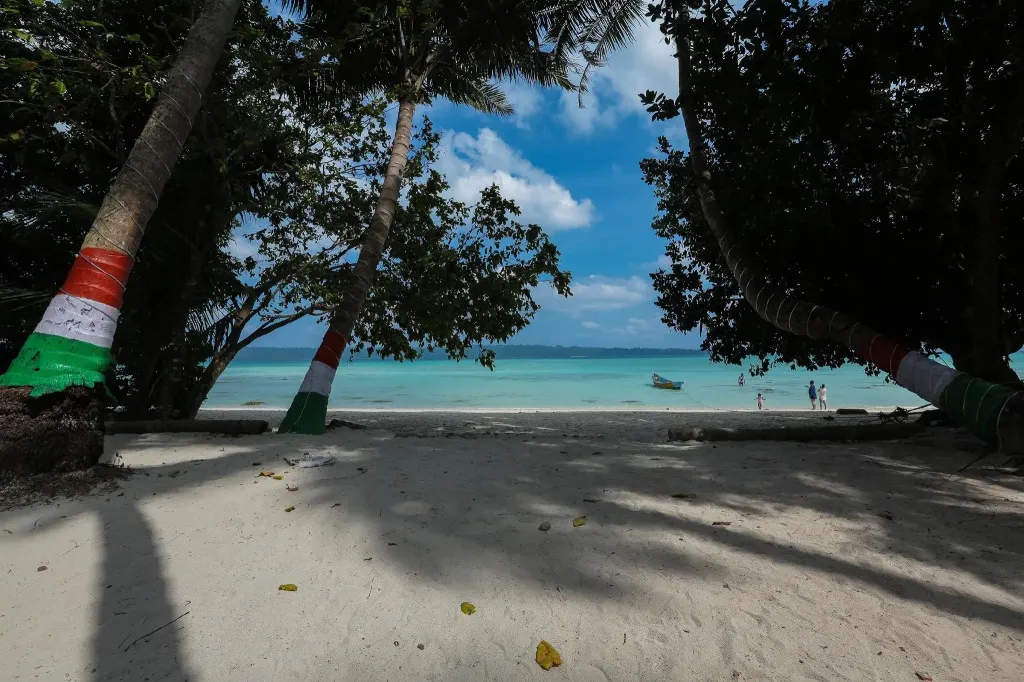 Plage de sable blanc bordée de palmiers et vue sur une mer turquoise.