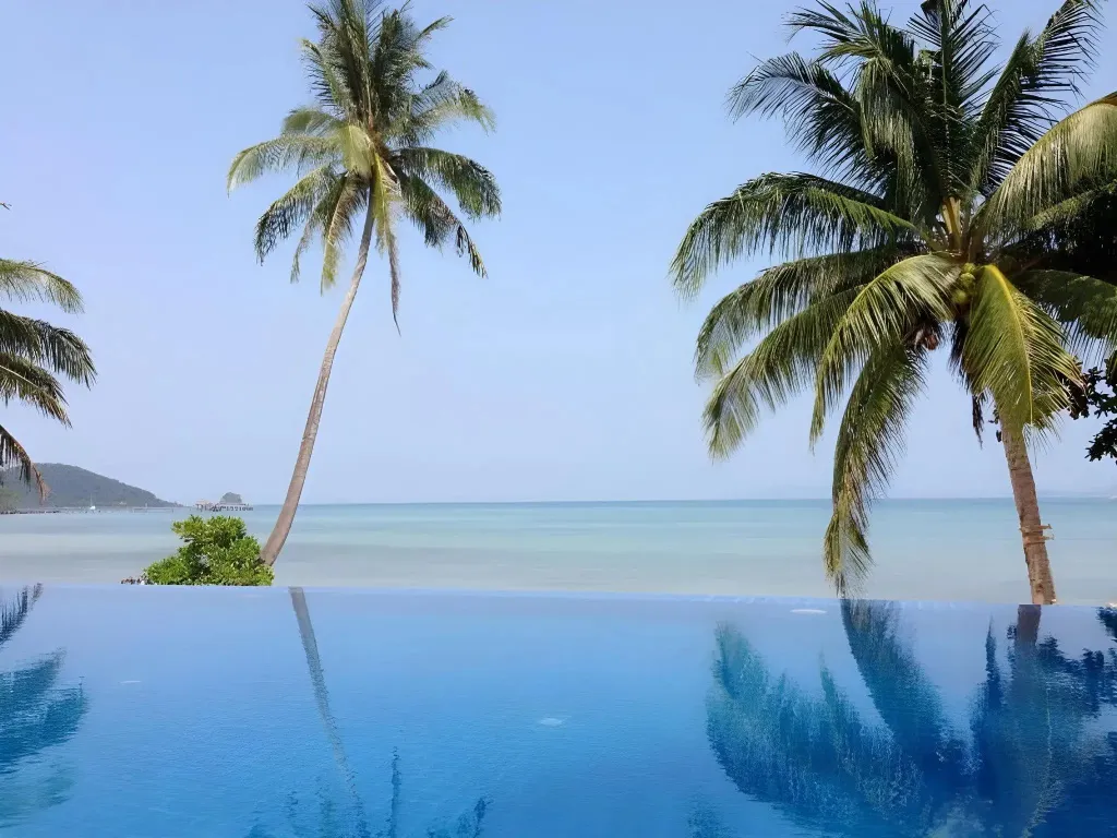 Vue sur la mer depuis une piscine à débordement bordée de palmiers.