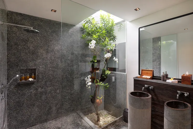 Douche à l'italienne avec plantes et vasques en pierre.