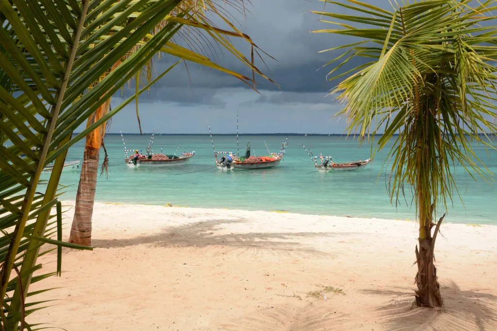 Plage de sable blanc bordée de palmiers et de bateaux de pêche.