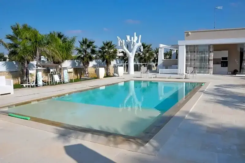 Une piscine rectangulaire bordée d'une terrasse ensoleillée avec des palmiers.