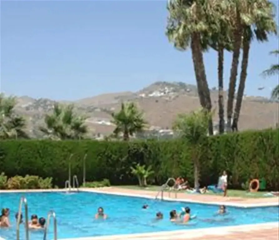 Une piscine ensoleillée avec des baigneurs et une végétation luxuriante en arrière-plan.