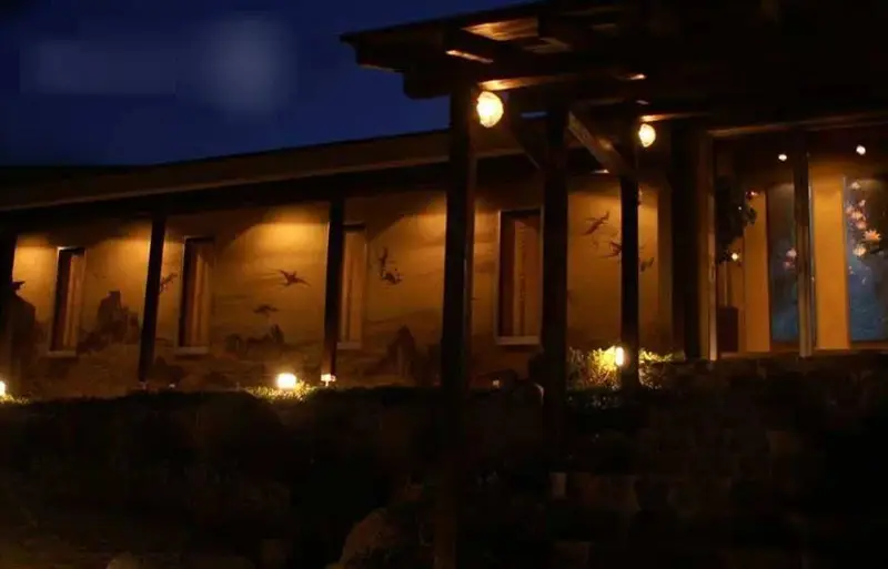 Façade d'un bâtiment éclairée la nuit avec des motifs d'oiseaux.