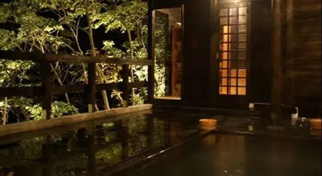 Bassin extérieur illuminé avec végétation luxuriante et structure en bois.
