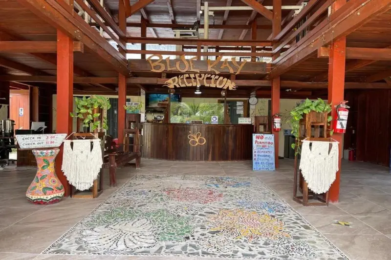 Hall d'accueil lumineux avec un comptoir en bois et une décoration florale.