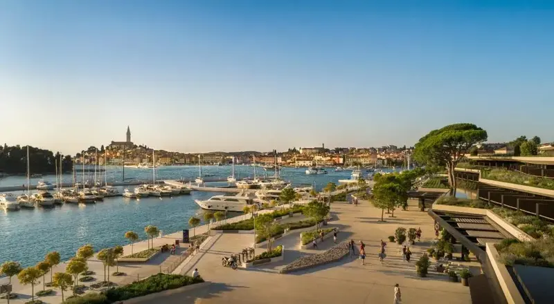 Vue d'ensemble d'un port de plaisance ensoleillé avec des bateaux amarrés et une promenade arborée.