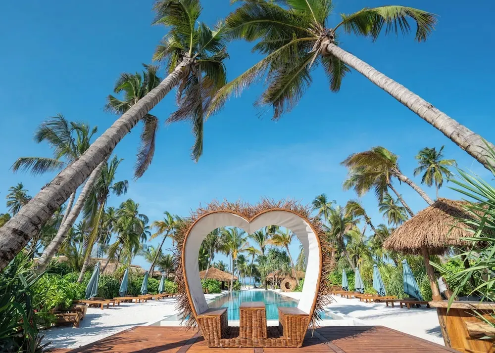 Une piscine bordée d'une terrasse en bois, ombragée par des palmiers.