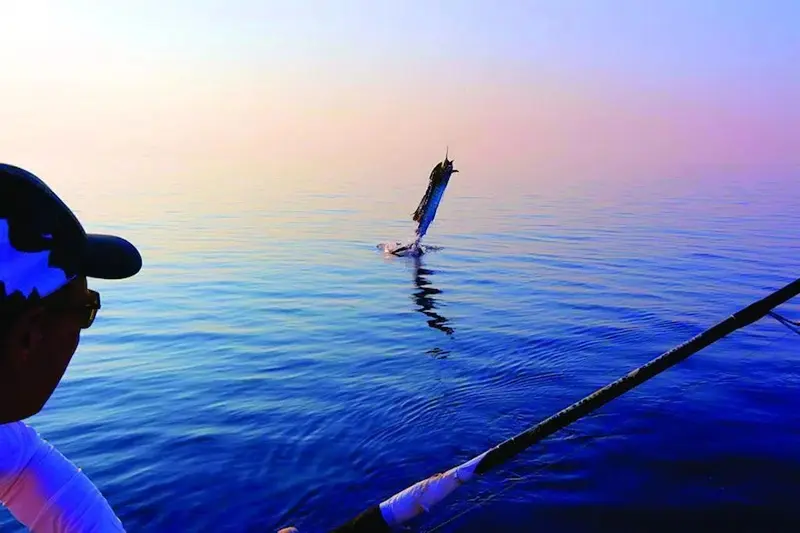 Un pêcheur tient une canne à pêche tandis qu'un poisson saute hors de l'eau au loin.