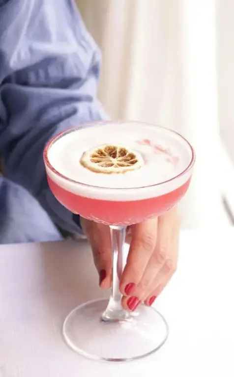 Une main tenant un cocktail rose orné d'une rondelle de citron.