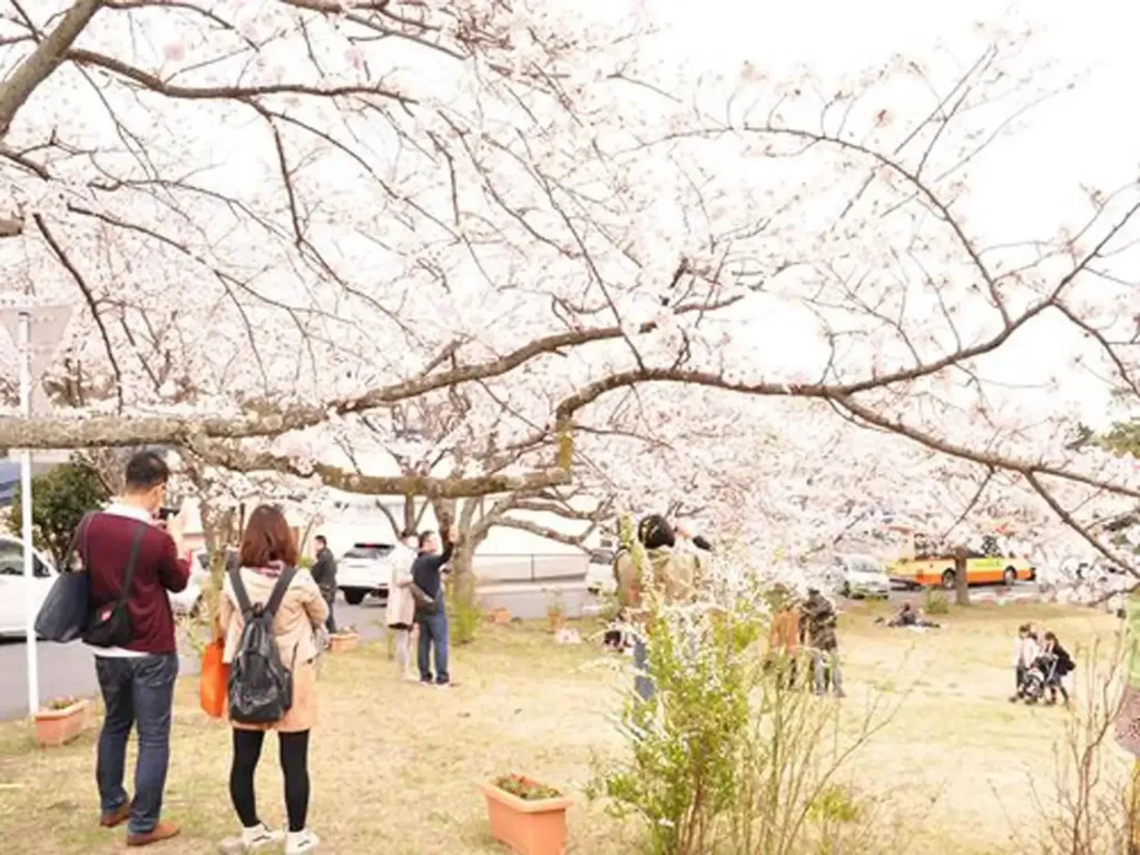 Des personnes se promènent dans un parc fleuri au printemps.