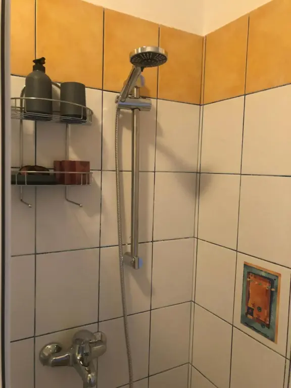 Douche avec pommeau réglable et étagères murales.