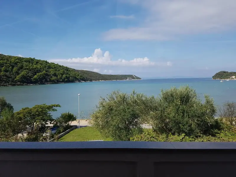 Vue sur une baie ensoleillée et une végétation luxuriante.