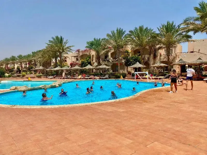 Une piscine ensoleillée avec des personnes se baignant et des palmiers en arrière-plan.