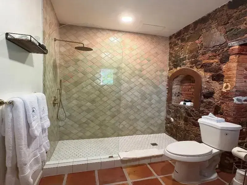 Une douche à l'italienne et des toilettes dans une salle de bain carrelée.