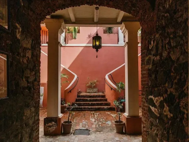 Un escalier en pierre mène à une cour intérieure ombragée et fleurie.