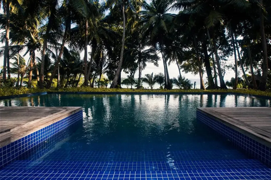 Une piscine rectangulaire bordée de bois, entourée de végétation tropicale.