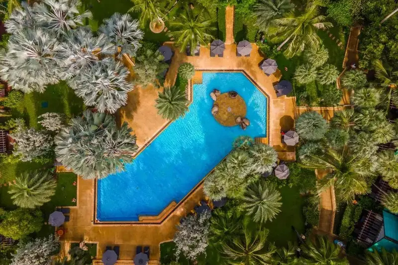Vue aérienne d'une piscine sinueuse entourée de végétation luxuriante et de parasols.