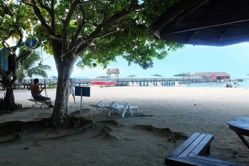 Une plage de sable clair avec des transats et des palmiers.