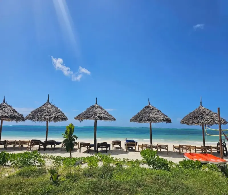 Plage de sable blanc bordée de parasols en chaume et de chaises longues.