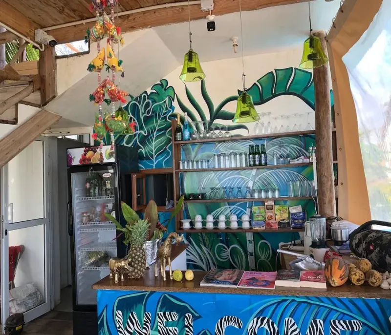 Un comptoir coloré est décoré de motifs tropicaux et de bouteilles.