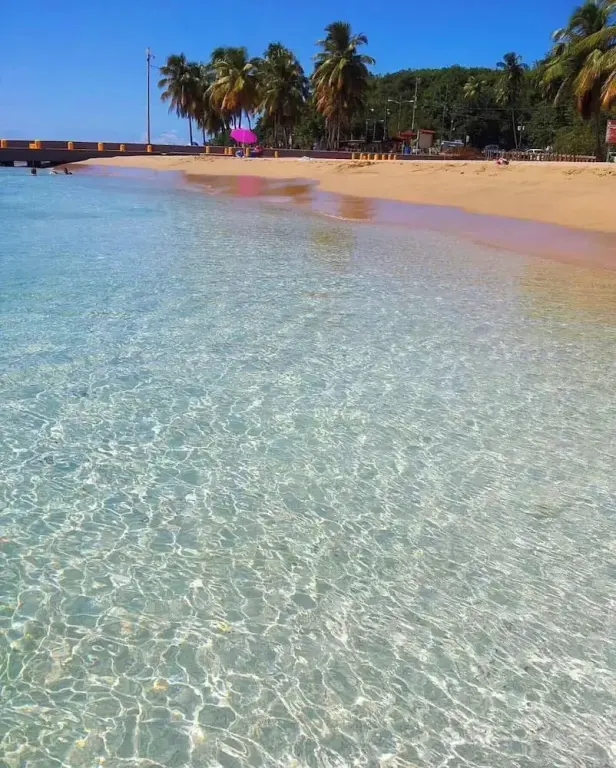 Une plage de sable fin bordée d'eau turquoise et de palmiers.