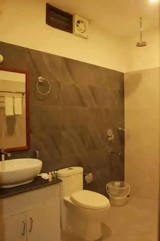 Une salle de bain avec lavabo, toilettes et douche.