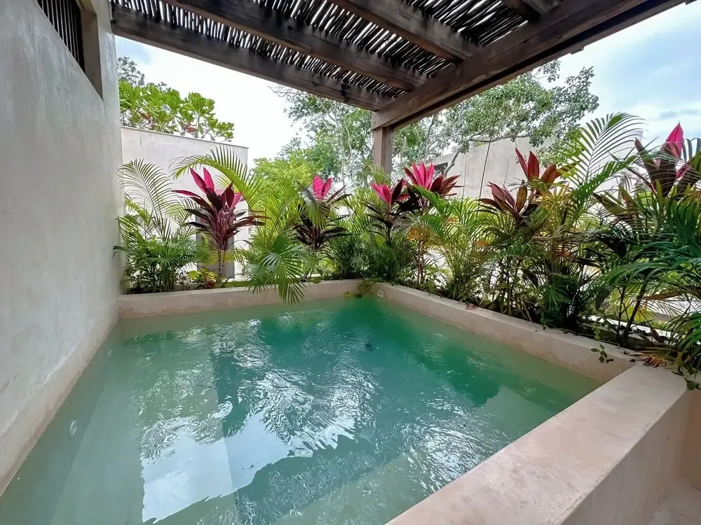 Petite piscine rectangulaire entourée de végétation luxuriante et d'une structure en bois.