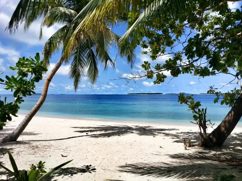 Plage de sable blanc bordée de palmiers sous un ciel bleu.