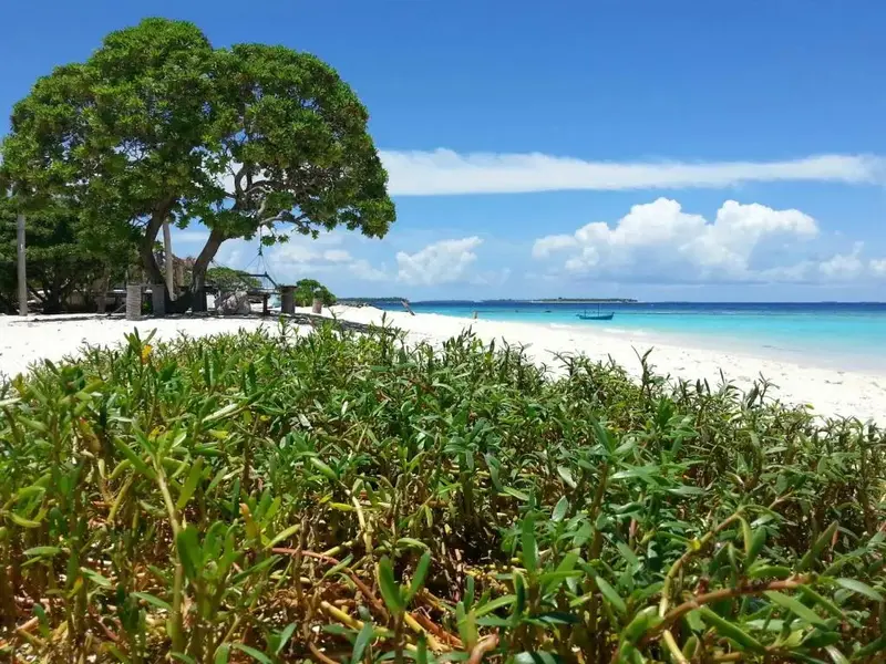 Une plage de sable blanc bordée de végétation luxuriante sous un ciel bleu nuageux.