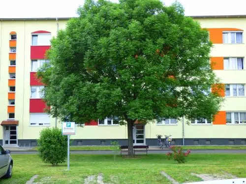Ferienwohnung Seeblick Zwenkau