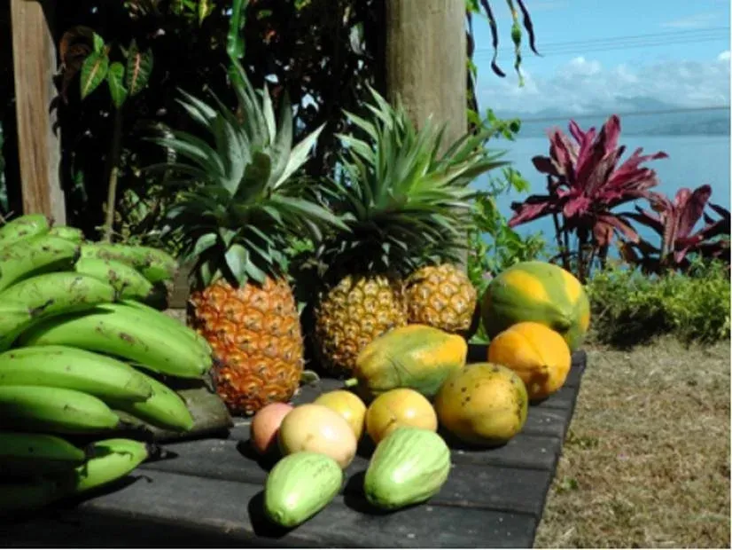 Des fruits tropicaux sont présentés sur une table en bois devant un paysage marin.