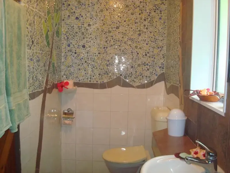 Une salle de bain lumineuse avec des murs recouverts de mosaïques.