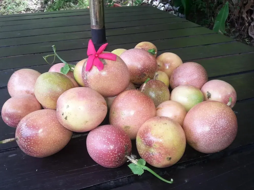 Des fruits exotiques sont disposés sur une table en bois sombre.