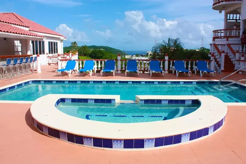 Une piscine rectangulaire avec un jacuzzi intégré offre un espace de détente ensoleillé.