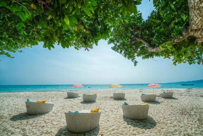 Transats et parasols sur une plage de sable blanc bordée d'arbres.