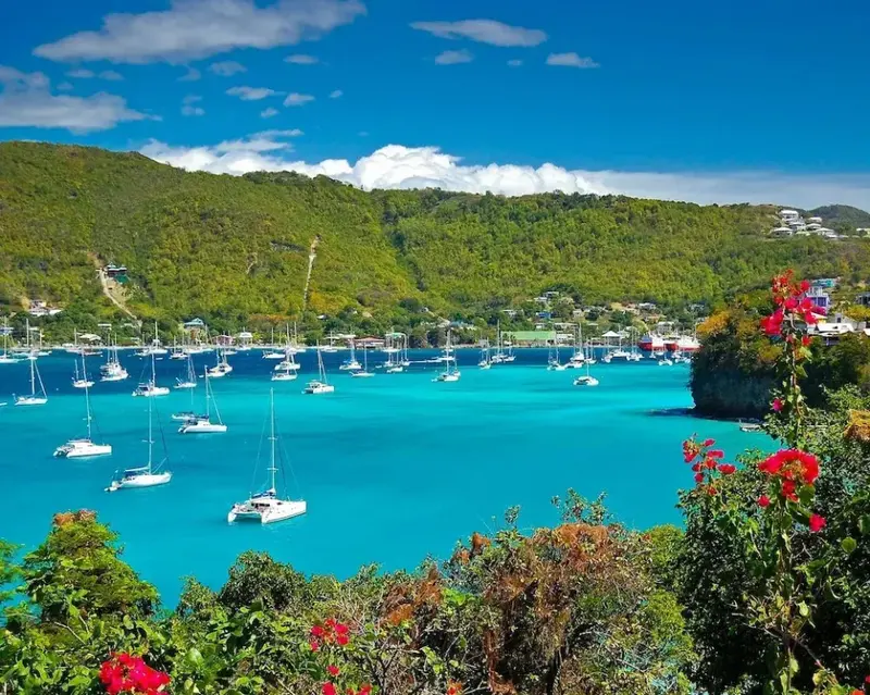 Vue aérienne d'une baie turquoise bordée de végétation et de bateaux à voile.