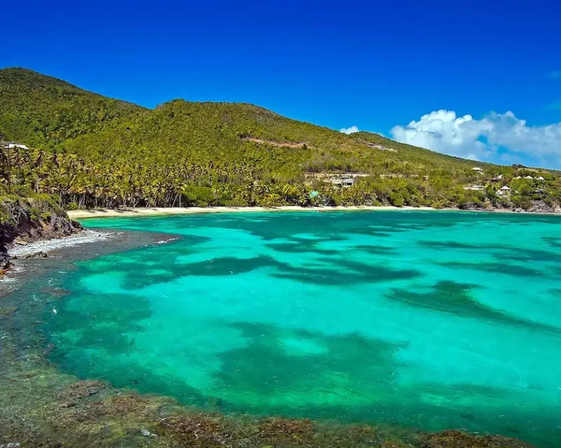 Une plage de sable blanc bordée d'une eau turquoise et d'une colline verdoyante.
