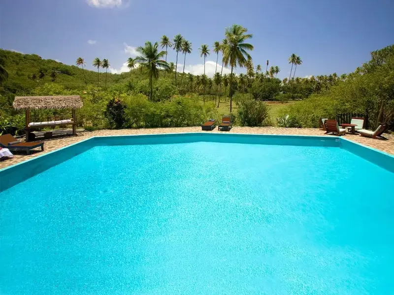 Une piscine rectangulaire turquoise bordée d'une terrasse ensoleillée, avec des palmiers en arrière-plan.