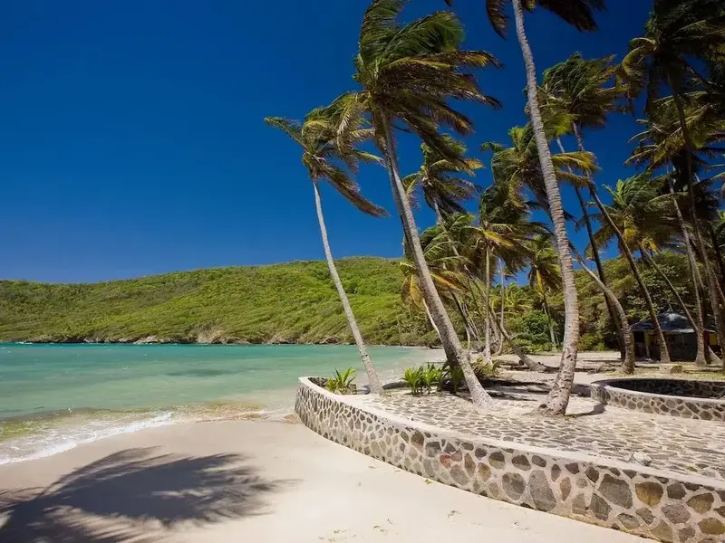 Une plage de sable blanc bordée de palmiers et d'une colline verdoyante.