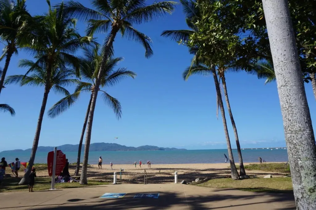 Plage de sable fin bordée de palmiers sous un ciel bleu dégagé.