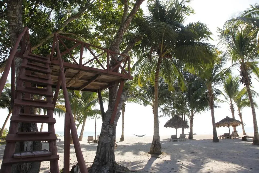Une structure en bois surélevée se dresse au milieu de palmiers sur une plage de sable.