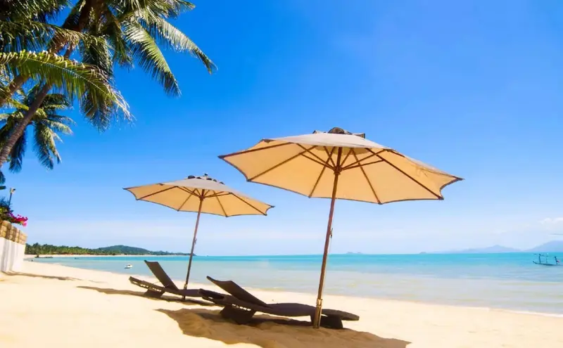 Transats et parasols sur une plage de sable fin bordée de palmiers.