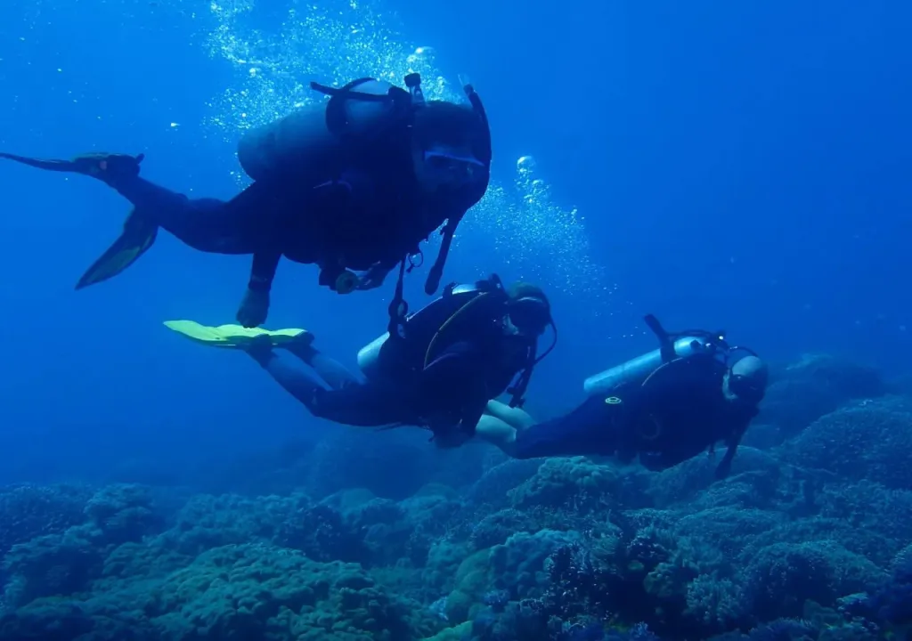 Trois plongeurs explorent un récif corallien dans une eau bleue.