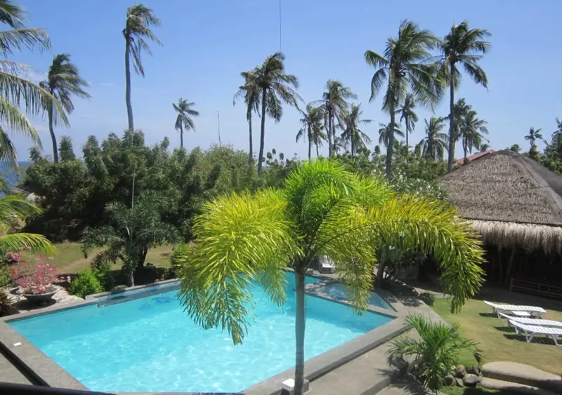 Une piscine rectangulaire entourée de végétation luxuriante sous un ciel bleu.