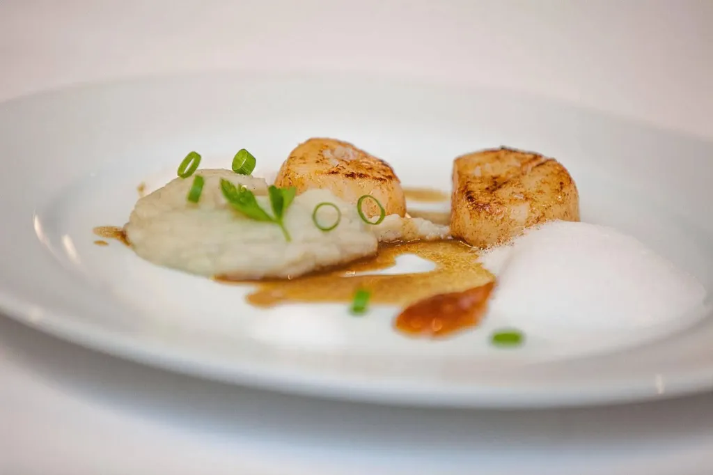 Assiette de noix de Saint-Jacques à la sauce crémeuse et herbes fraîches.