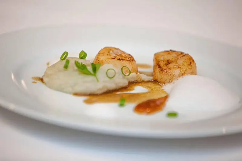 Assiette de noix de Saint-Jacques à la sauce crémeuse et herbes fraîches.
